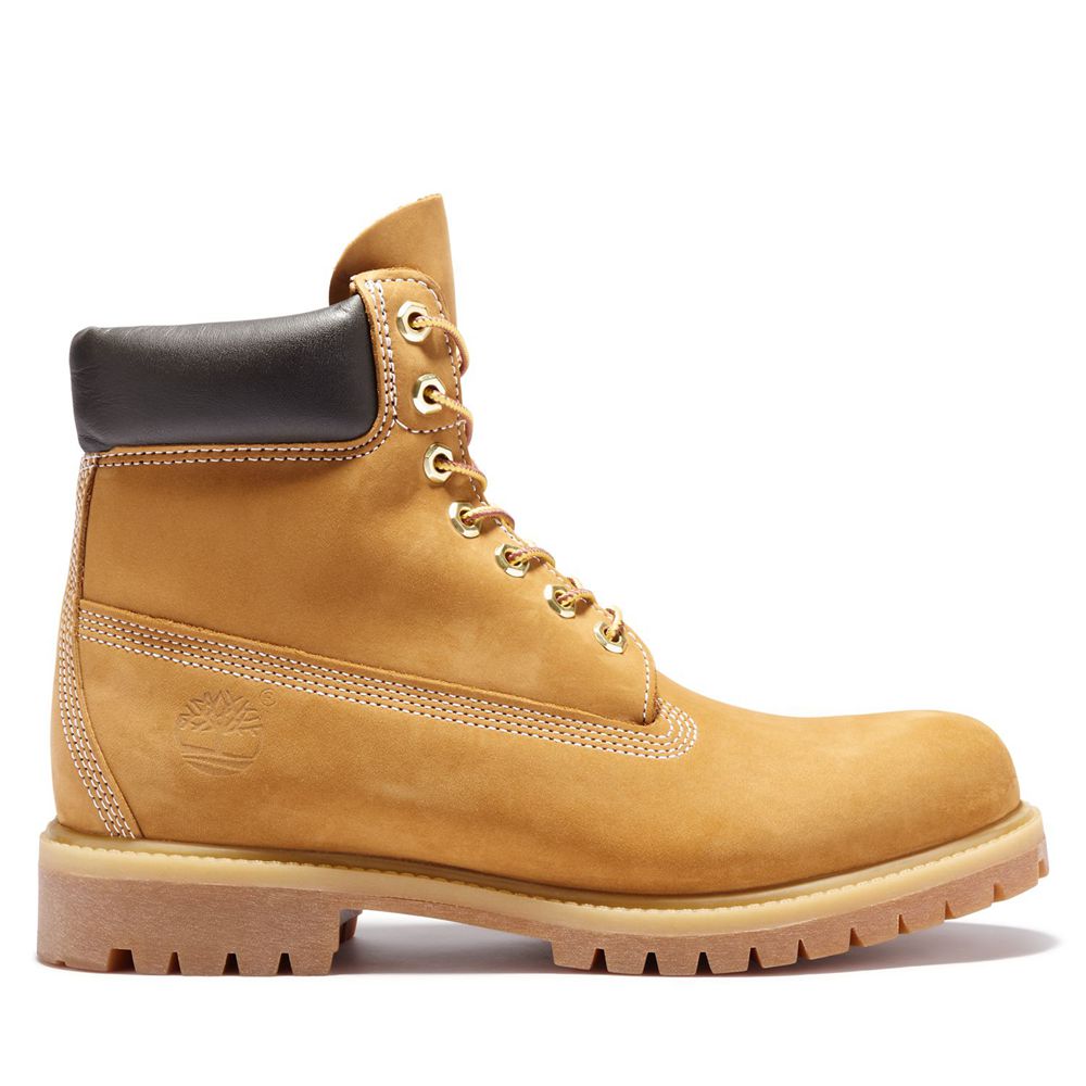 Bocanci De Zapada Timberland Barbati Maro - 6-Inch Premium Waterproof - Romania - DJPQFH370